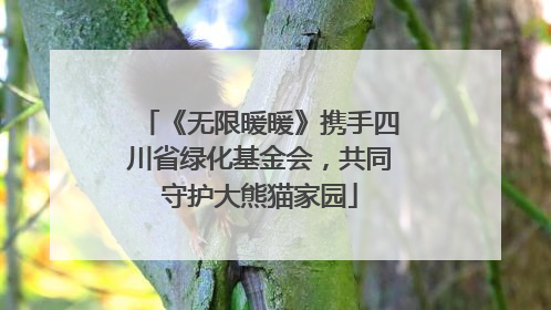 《无限暖暖》携手四川省绿化基金会，共同守护大熊猫家园