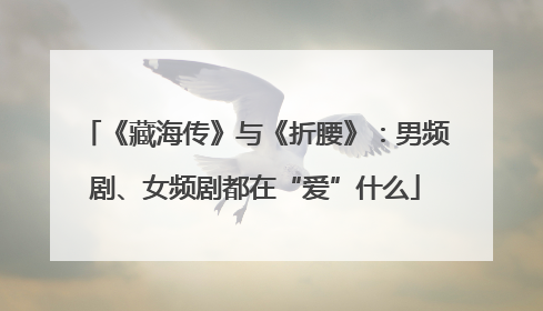 《藏海传》与《折腰》：男频剧、女频剧都在“爱”什么