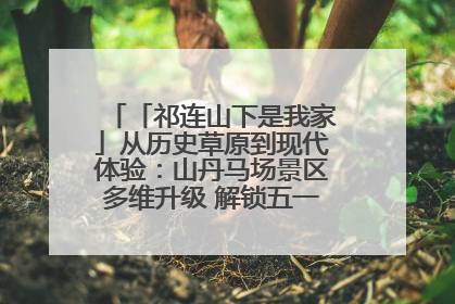 「祁连山下是我家」从历史草原到现代体验：山丹马场景区多维升级 解锁五一文旅新玩法