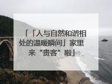 「人与自然和谐相处的温暖瞬间」家里来“贵客”啦