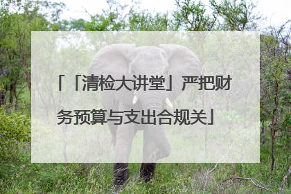 「清检大讲堂」严把财务预算与支出合规关