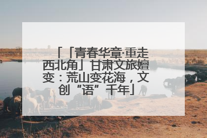 「青春华章·重走西北角」甘肃文旅嬗变：荒山变花海，文创“语”千年