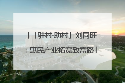 「驻村·助村」刘同旺：惠民产业拓宽致富路