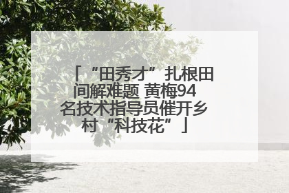 “田秀才”扎根田间解难题 黄梅94名技术指导员催开乡村“科技花”