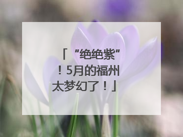 “绝绝紫”！5月的福州太梦幻了！