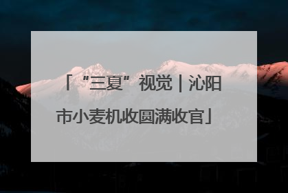“三夏”视觉｜沁阳市小麦机收圆满收官