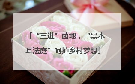 “三进”菌地，“黑木耳法庭”呵护乡村梦想