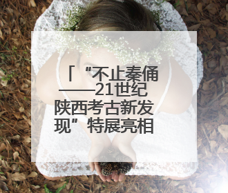 “不止秦俑——21世纪陕西考古新发现”特展亮相美国加州
