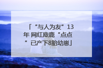 “与人为友”13年 网红麋鹿“点点”已产下8胎幼崽