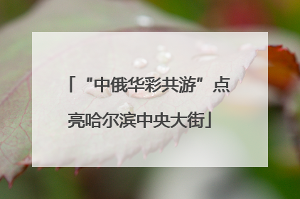 “中俄华彩共游”点亮哈尔滨中央大街