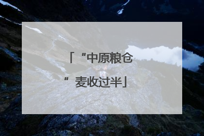 “中原粮仓”麦收过半
