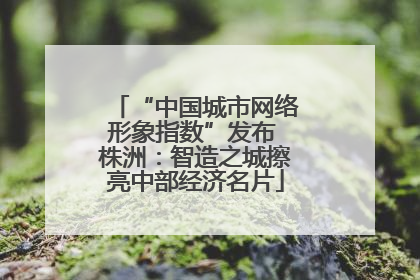 “中国城市网络形象指数”发布 株洲：智造之城擦亮中部经济名片