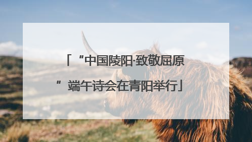“中国陵阳·致敬屈原”端午诗会在青阳举行