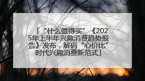 “什么值得买”《2025年上半年兴趣消费趋势报告》发布，解码“心价比”时代兴趣消费新范式