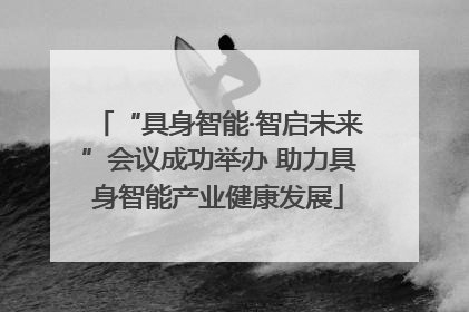 “具身智能·智启未来”会议成功举办 助力具身智能产业健康发展