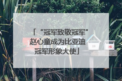 “冠军致敬冠军” 赵心童成为比亚迪冠军形象大使