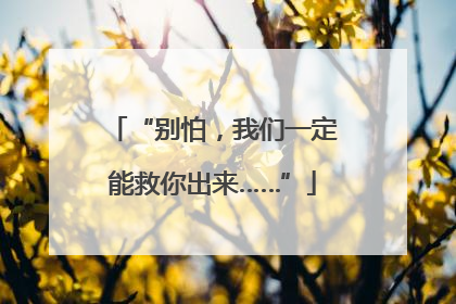 “别怕，我们一定能救你出来……”