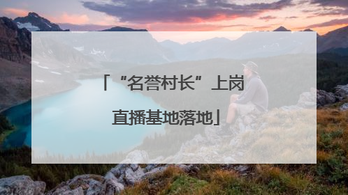 “名誉村长”上岗 直播基地落地