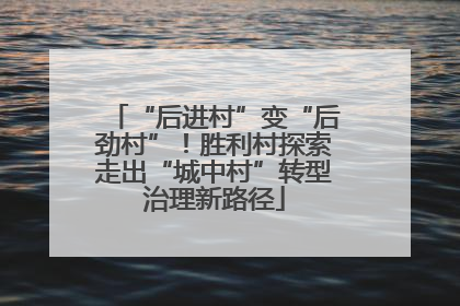 “后进村”变“后劲村”！胜利村探索走出“城中村”转型治理新路径