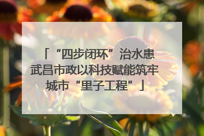 “四步闭环”治水患 武昌市政以科技赋能筑牢城市“里子工程”