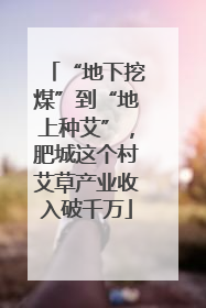 “地下挖煤”到“地上种艾”，肥城这个村艾草产业收入破千万