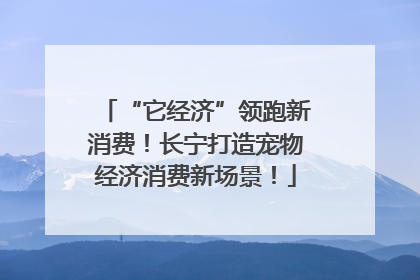 “它经济”领跑新消费！长宁打造宠物经济消费新场景！