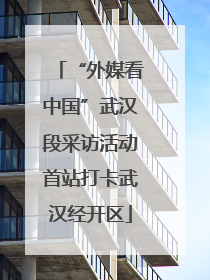 “外媒看中国”武汉段采访活动首站打卡武汉经开区