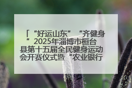 “好运山东”“齐健身”2025年淄博市桓台县第十五届全民健身运动会开赛仪式暨“农业银行杯”第一届社区工作队伍运动会开赛