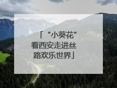“小葵花”看西安走进丝路欢乐世界