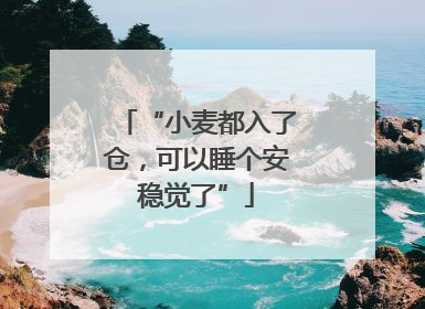 “小麦都入了仓，可以睡个安稳觉了”