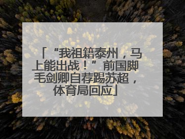 “我祖籍泰州，马上能出战！”前国脚毛剑卿自荐踢苏超，体育局回应