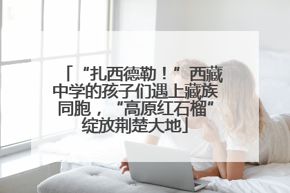 “扎西德勒！”西藏中学的孩子们遇上藏族同胞，“高原红石榴”绽放荆楚大地