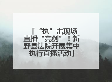 “执”击现场 直播“亮剑”！新野县法院开展集中执行直播活动
