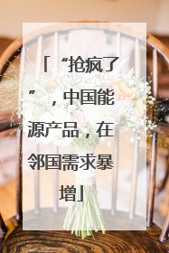 “抢疯了”，中国能源产品，在邻国需求暴增