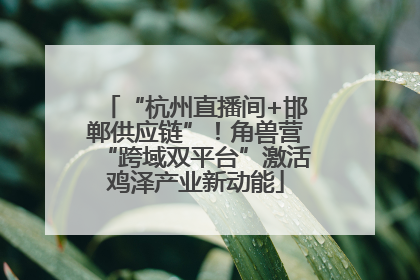 “杭州直播间+邯郸供应链”！角兽营“跨域双平台”激活鸡泽产业新动能
