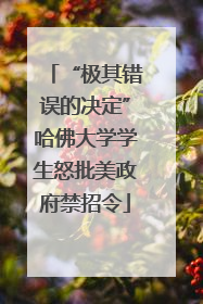 “极其错误的决定”哈佛大学学生怒批美政府禁招令