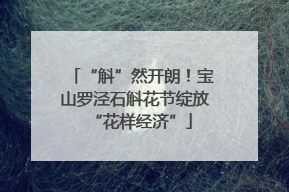 “斛”然开朗！宝山罗泾石斛花节绽放“花样经济”