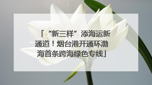 “新三样”添海运新通道！烟台港开通环渤海首条跨海绿色专线