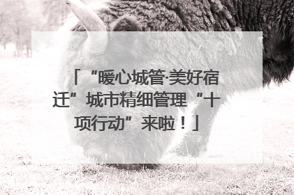 “暖心城管·美好宿迁”城市精细管理“十项行动”来啦！