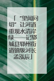 “望闻问切”让河道重现水清岸绿——记郓城县郓州街道镇级河长孟泓辰
