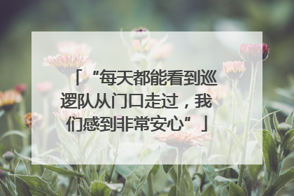 “每天都能看到巡逻队从门口走过，我们感到非常安心”
