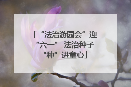 “法治游园会”迎“六一” 法治种子“种”进童心