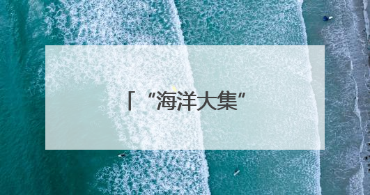 “海洋大集”上，本地“招牌”纷纷亮相