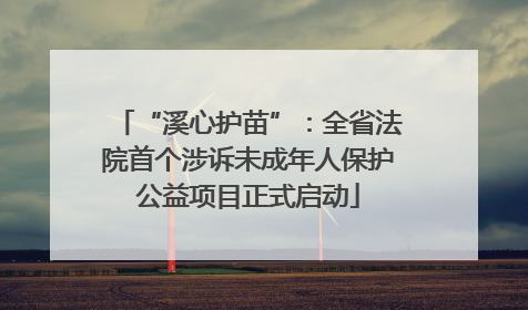 “溪心护苗”：全省法院首个涉诉未成年人保护公益项目正式启动