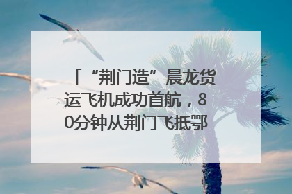 “荆门造”晨龙货运飞机成功首航，80分钟从荆门飞抵鄂州花湖机场