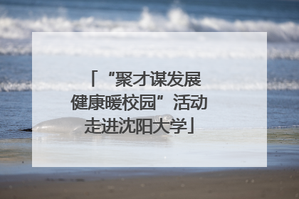 “聚才谋发展 健康暖校园”活动走进沈阳大学