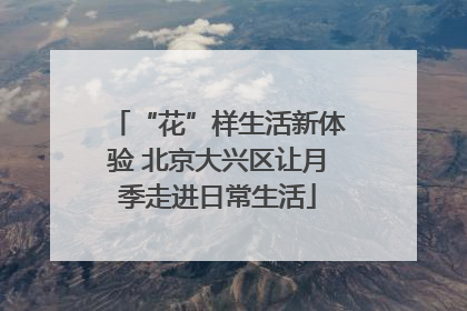 “花”样生活新体验 北京大兴区让月季走进日常生活