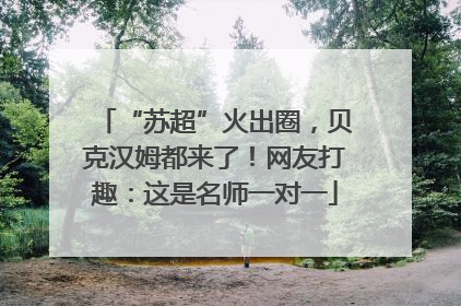 “苏超”火出圈，贝克汉姆都来了！网友打趣：这是名师一对一