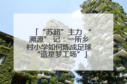 “苏超”主力 “溯源” 记：一所乡村小学如何炼成足球 “造星梦工场”