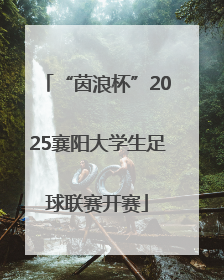 “茵浪杯”2025襄阳大学生足球联赛开赛